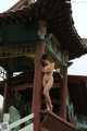 A naked woman standing on top of a wooden structure.